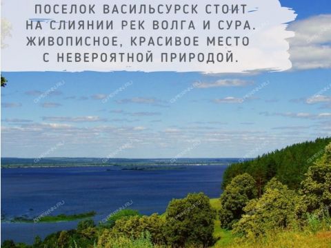 rabochiy-poselok-vasilsursk-vorotynskiy-gorodskoy-okrug фото