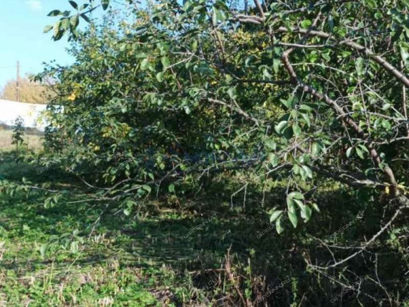 дом на - село Симбилей