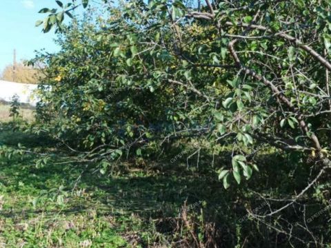 dom-selo-simbiley-dalnekonstantinovskiy-rayon фото