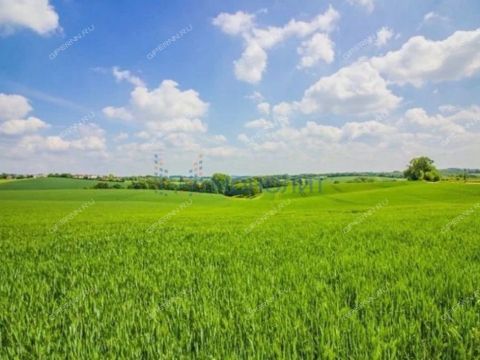 selo-arapovo-bogorodskiy-municipalnyy-okrug фото